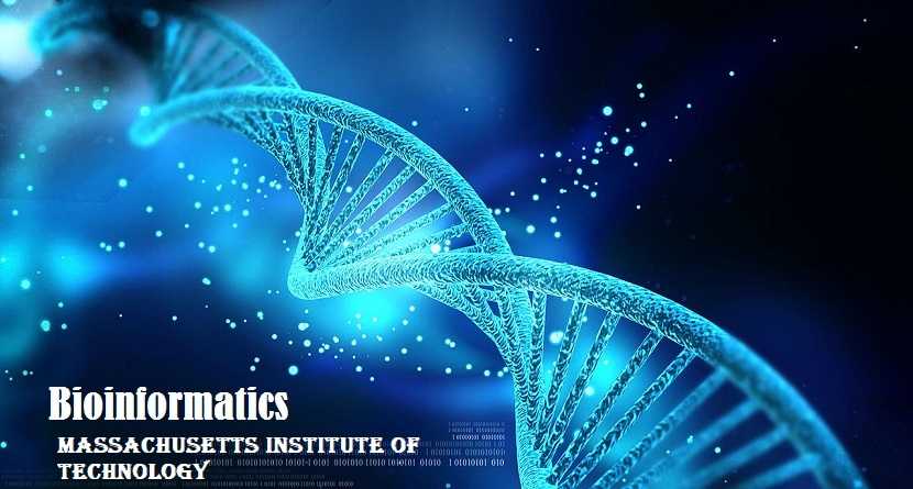 Massachusetts Institute of Technology Bioinformatics