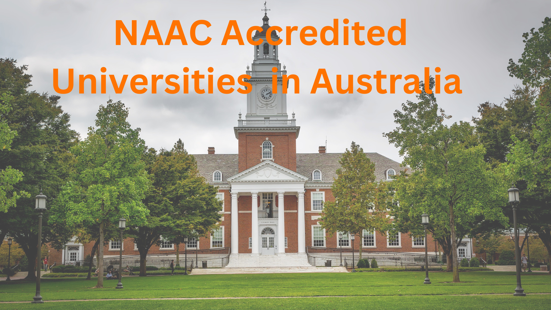 NAAC-Accredited Universities