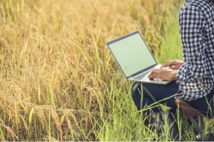 Emerging & High-Demand Fields