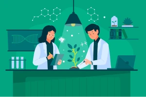 Environmental Studies