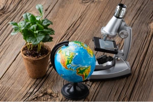 Natural & Physical Sciences